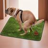 Reusable & Washable Dog Grass Mat - Odor-Control Artificial Lawn for Pet Training, Easy-Clean Pee Pad with Non-Slip Backing