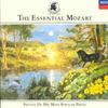 CD MOZART  Essential Mozart 4333232 Decca 1991 UK Classical Used