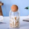 Japanese Style Airtight Glass Storage Canister
