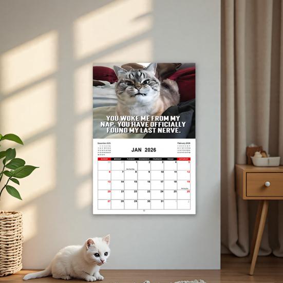 Yousheng 2026 Wall Calendar Jan 2026 - Dec 2026 12 Monthly Planner Wall Hanging Calendar with Funny Dog/Cat Images for School Home Office