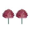 2pcs Colorful Fake Plant Plastics Artificial Flower Artistic Echeveria Chihuahuaensis  Home Decor