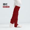 Adult Dance Socks, Dance Leg Warmers for and Performance