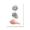 Pastel Colored Sea Shell Watercolor Poster Ocean Pebbles Canvas Painting Wall Art Education Picture Retro Kid Room Home Decor