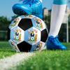 Coventry City Football Club Pallone da Calcio Misura 5 Colorato Cucito a Macchina PVC Pronto per la Competizione Resistente Alta Rimbalzabilità