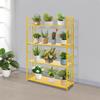 Modern 4-Tier Book Storage Rack, Golden Iron Book Shelf, Holds 220 Lbs, Organize Books & Display Decor, Sturdy Metal Bookcase