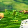 Creative Resins Musician Frogs Statue Figurine for Indoor or Outdoor Decoration Home Office Desktop Shelves Ornament