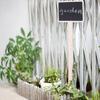 10Pcs Plant Sign Tag Plants Flower Price Tag Mini Message Blackboard Garden Decoration
