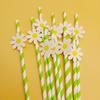 Creative Pink Daisy Party Straws with Decorative Card