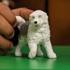 Schleich Farm World Bobtail Ages Realistic Farm Animal Toy 13968 Figure, 3+,
