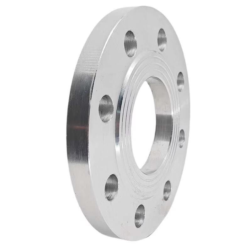 Saizesi Iron Flange