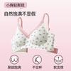 Sweet Lace Breathable Underwear Women's Soft Support Close Sub-breasts Small Breasts Gather and Show a Large Bra Anti-sagging Thin Cup Bra