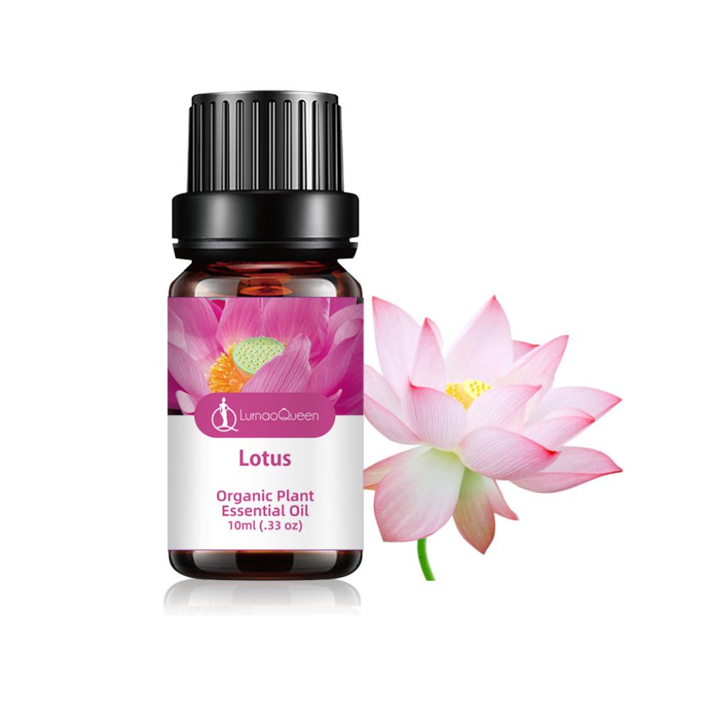 10ml Car Perfume Refill Air Freshener Liquid Essential Oil for Aroma Diffuser Fragrance Humidifier Essential Oils Aromatherapy