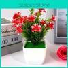 Sasanqua Plastic Camellia Botanical Potted Plant For Gift And Decor Interior