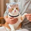 Transparent Breathable Cat Muzzle Anti-Licking Anti-Bite Cat Space Hood Anti Scratch Cat Grooming Accessories