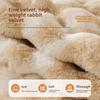 Winter Rabbit Fur Sofa Cushion Autumn-Winter Fixed Anti-Slip Seat Pad Thickened Warmth Sofa Cover Thickened Warmth Sofa Cover