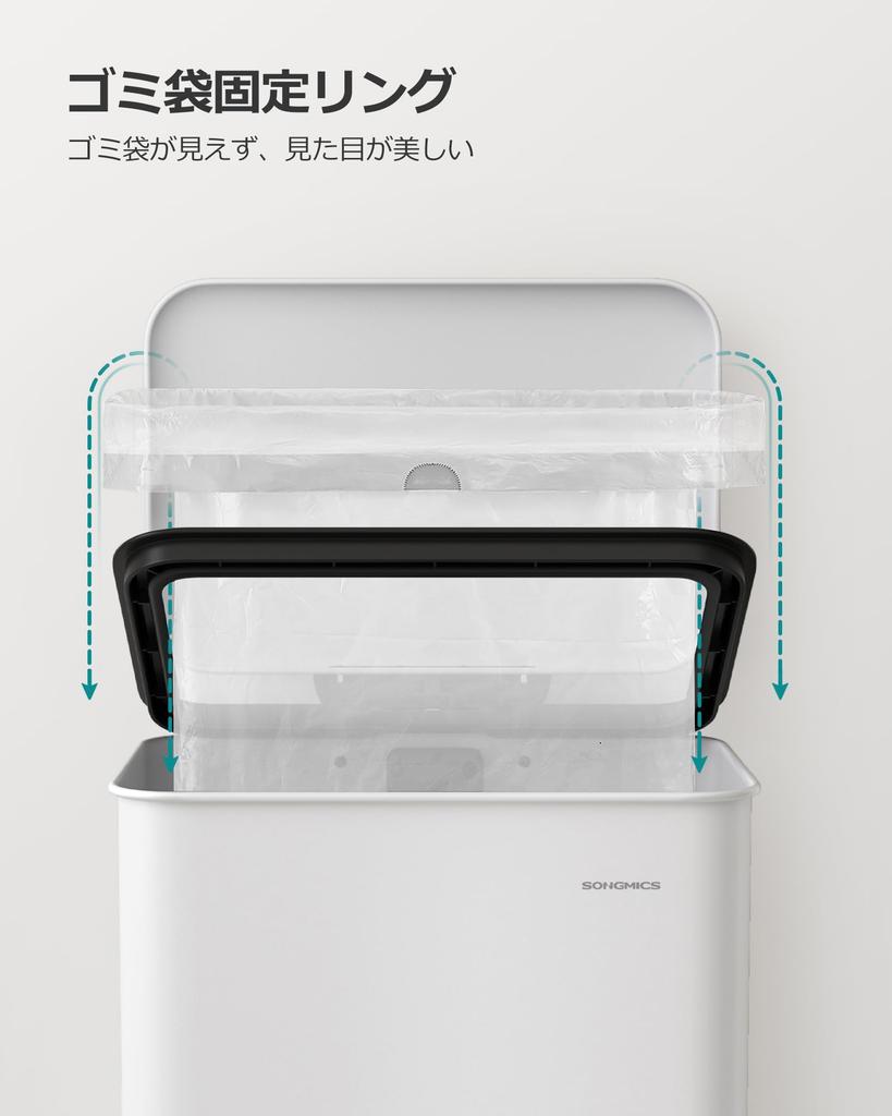 SONGMICS Trash Pedal with Large Stainless Steel Dust for Kitchen and Living Invisible Pet Mischief White LTB540W4002 Can, 40L, Type, Lid, Capacity,