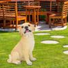 Landscape Lawn Garden Courtyard Resin High Simulation Dog Decoration Animal Puppy Ornament