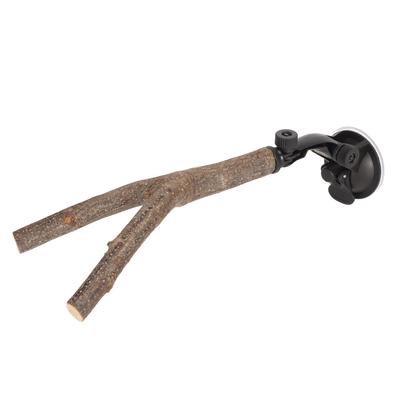 Bird Branch Perch Stand Training Interactive Prevent Slip Wooden Parrot Perch with Suction Cups for