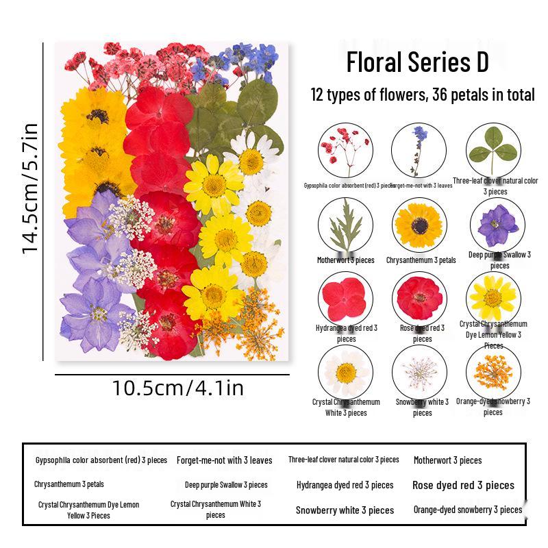 DIY Dried Flower Specimen Sticker Set for Kids: Handmade Pressed Flower Frames & Resin Bookmark Craft Kit