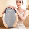 Cloris Lumbar & Back Massager Cushion E830R