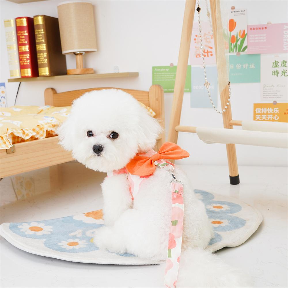 Classic Pet Harness and Leash Set,Summer Pet Clothes with Matching Leash and Cute Bow Decoration for Cats and Puppy Outdoor Walking Dogs