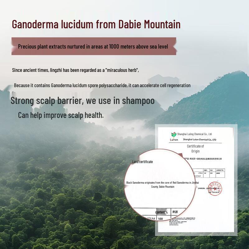 JD Zhizao Botanisches Rotes Reishi Anti-Schuppen Feuchtigkeitsshampoo