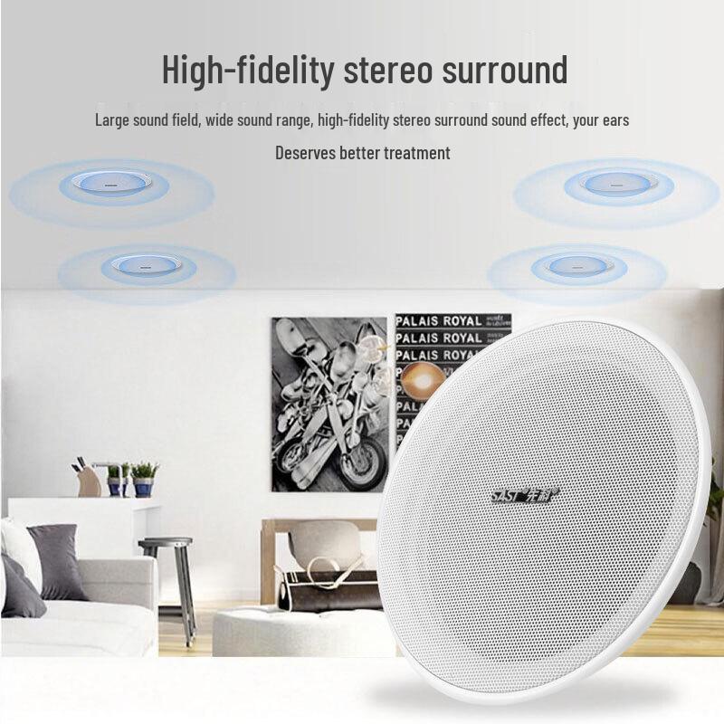 SAST TH15 5-inch Fixed Voltage Ceiling Speaker System CN plug (adapter included)