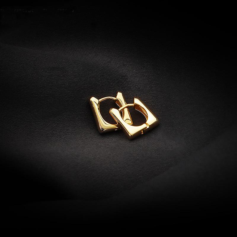 Female Niche Fashion Small and Simple Cool Style Earrings