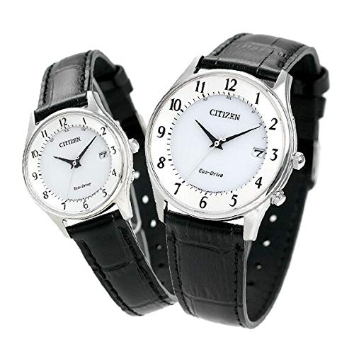

Citizen Eco-Drive Radio Pair Watch AS1060-11A ES0000-10A