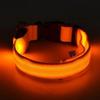 Collare Luminoso per Cani Collare Anti-smarrimento per Cani Cuccioli Forniture Luminose Notturne Prodotti per Animali Accessori Set Pettorina e Guinzaglio per Cani