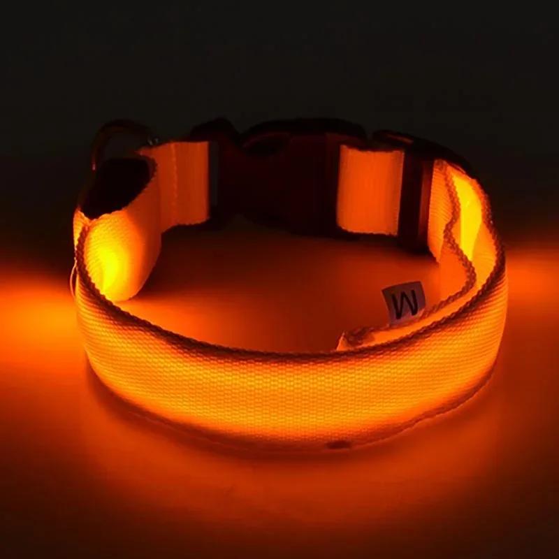 Collare Luminoso per Cani Collare Anti-smarrimento per Cani Cuccioli Forniture Luminose Notturne Prodotti per Animali Accessori Set Pettorina e Guinzaglio per Cani