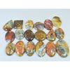 381Cts. Natural Forest Agate Mix Cabochon Loose Gemstone 18 Pcs Lot C-1961