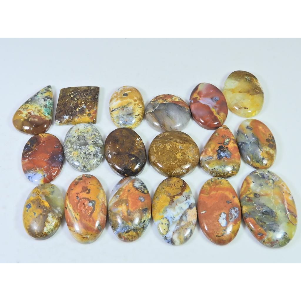 381Cts. Natural Forest Agate Mix Cabochon Loose Gemstone 18 Pcs Lot C-1961