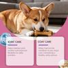 Kriath Dog Collagen Drops 60ml - Gentle Formula, Suitable for Dog Joint and Cartilage Health, Hair and Skin Care Supplement