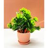 Plastic 6 Packs Fake Plants Small,Mini Artificial Plants Indoor For Home Farmhouse Bathroom Shelf Décor(Height : 17Cm,Pink)
