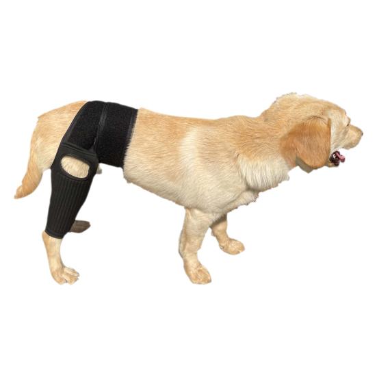 Dog Knee Brace for ACL Tear Adjustable Leg Support Bracket Dog Tendinitis Support Sleeve Easy Install Dog Leg Bracket