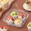 4-Cavity Cupcake & Muffin Packaging Boxes