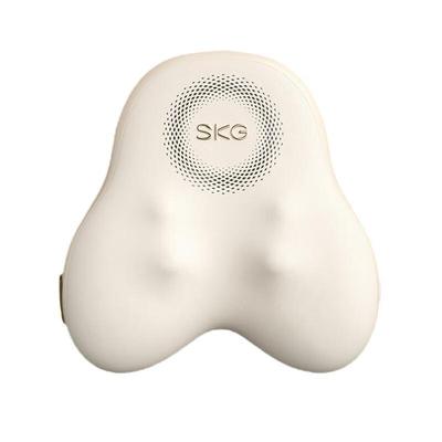 T5-2 Waist Massager Cushion CN Plug (adapter Included)