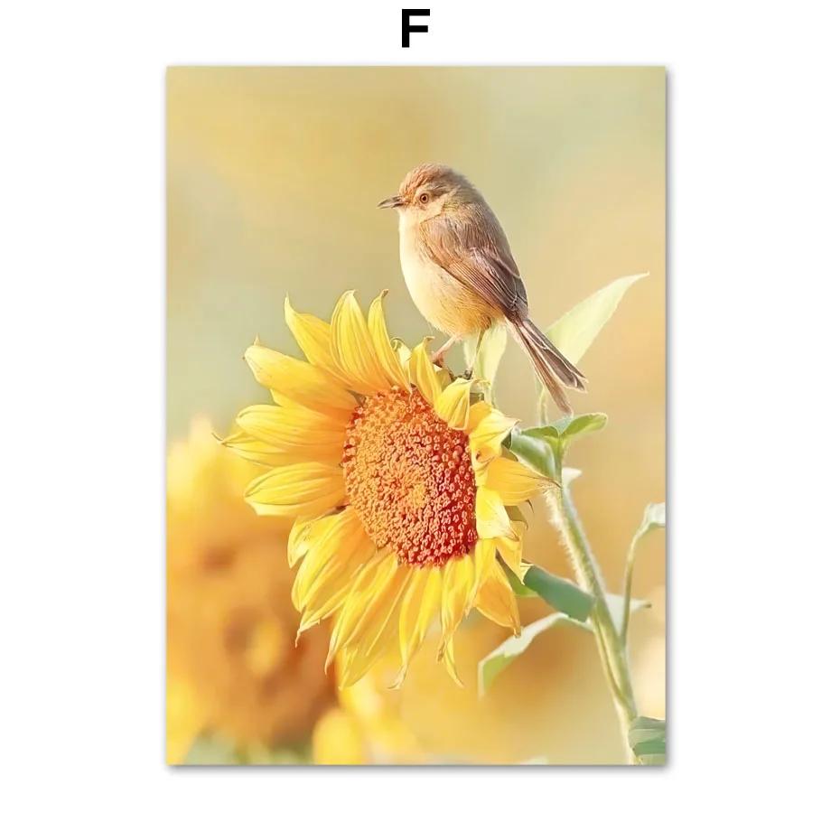 Canvas Painting Gold Sunflower Tulip Dahlia Daisy Orange Nordic Wall Art Posters and Prints Wall Pictures for Living Room Decor