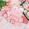 Pet Spring Summer Cake Dress Three-dimensional Flower Lace Teddy Bigbear Holiday Dress