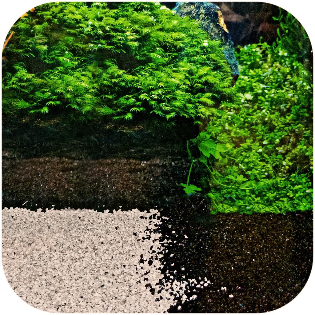 Eco Plant Black River 1Kg - Grit Black 2-5Mm