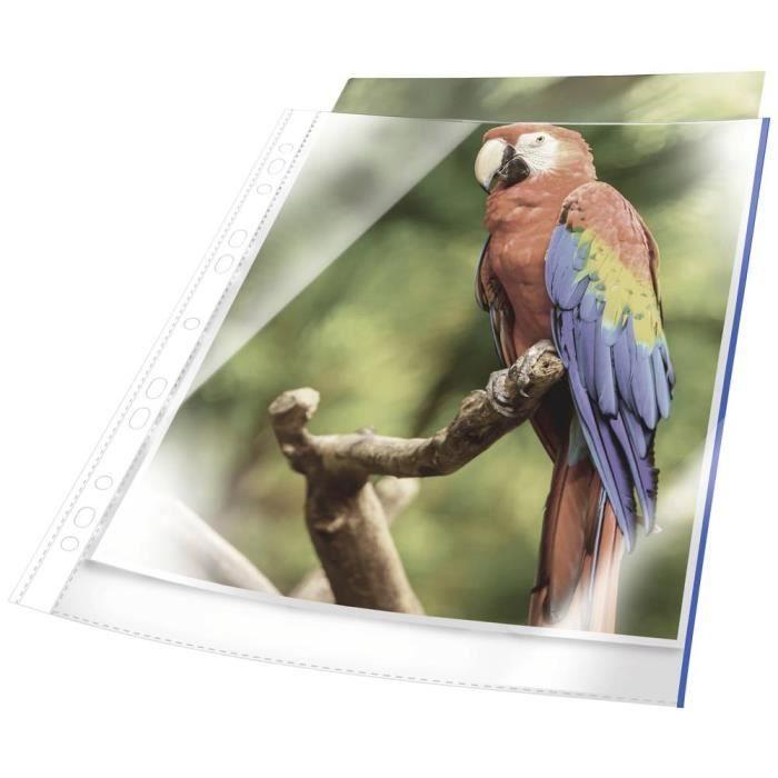 Pochette en polypropylène DIN A4 - DURABLE - 265506 - Bleu - Qualité Premium