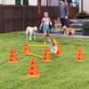 Dog Agility Equipment Set of Six Cones, Six Poles with Carry Bag, Three-Piece Adjustable Height Jumping Obstacles Orange