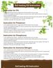 Accurate Soil Testing Reagent for Ammonia, Nitrogen, pH, Phosphorus, and Potassium Detection