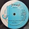 12inch Record PETER METRO  ECHO MINOTT  Police In A England  What The Hell NONE Jammys Records 1986 Japan Reggae Ska  Dub Used