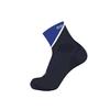 Salomon Men's Pulse Ankle Socks, LC2255800, Surf The Web/Carbon/White, Size L