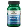 Lutein Esters & Bilberry - 120 Softgels