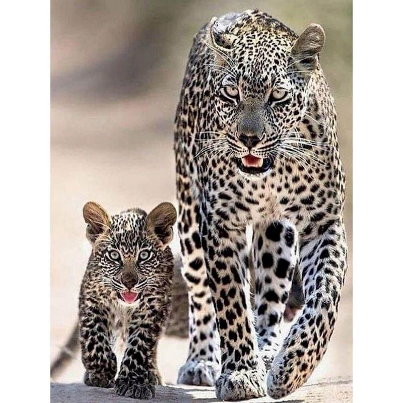 5D diamantová malba Lion Tiger Plné Kulaté Diamantové vyšívání Zvířátka Diy Barevný křížkový steh z kamínků Mozaika Umění