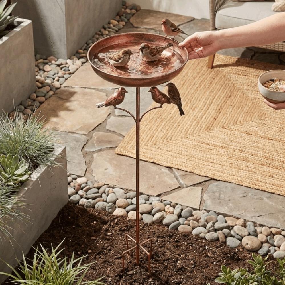 5 Claw Ground Plug Iron Bird Bath Feeder Standing Bowl Bird Feeding Station Outdoor Garden