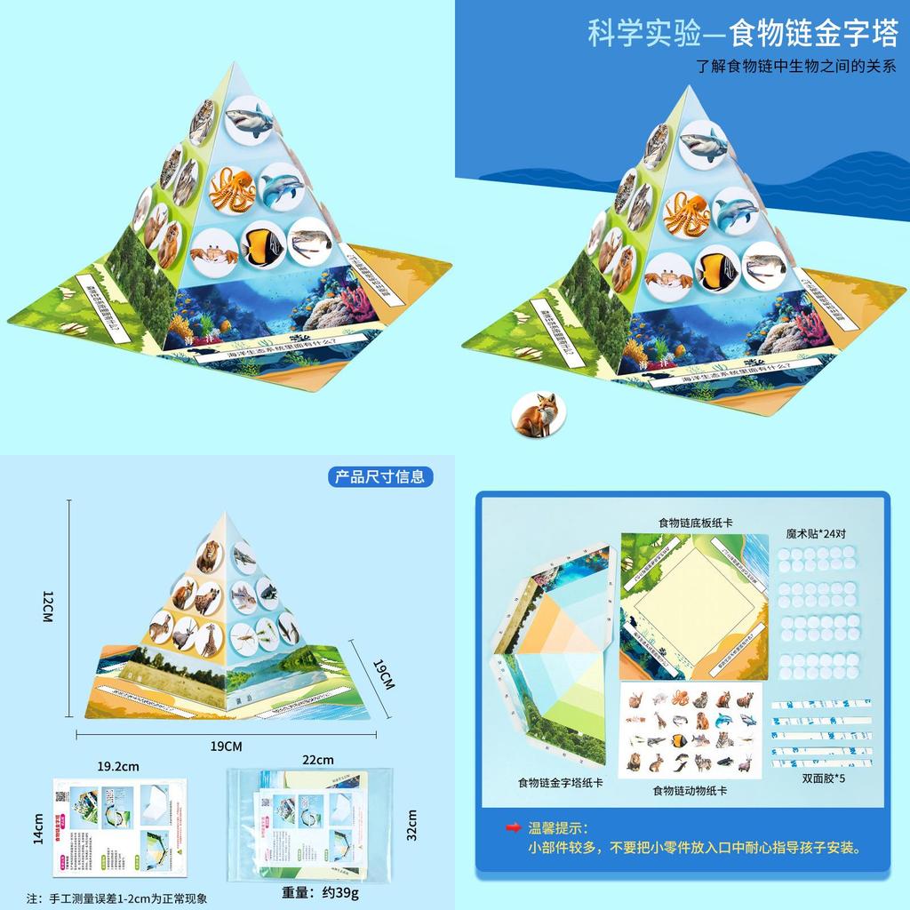 Paper Food Chain Pyramid Model Assembly Material Set Puzzle Toys For Children Educational Biology Set